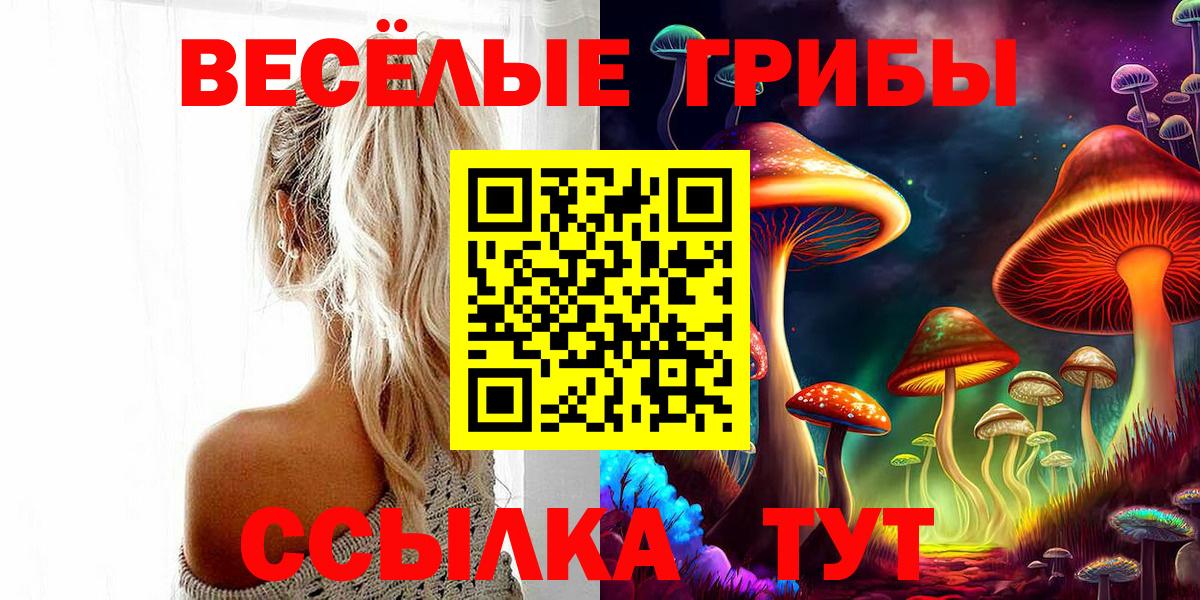 Псилоцибиновые грибы Psilocybe Чита
