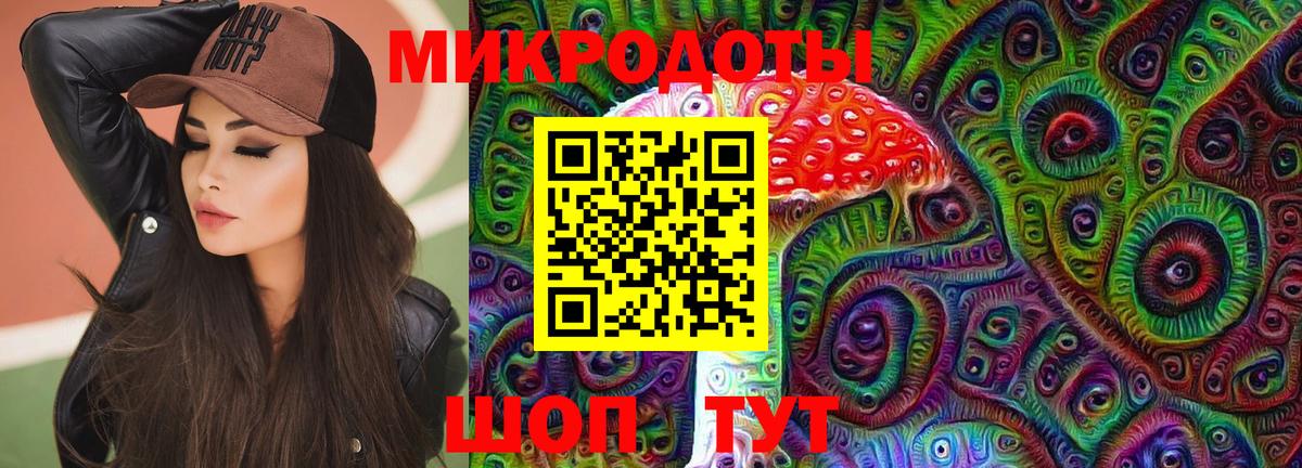 Псилоцибиновые грибы Psilocybe  Вход с VPN  Галлюциногенные грибы мицелий  где купить наркотик  Чита 